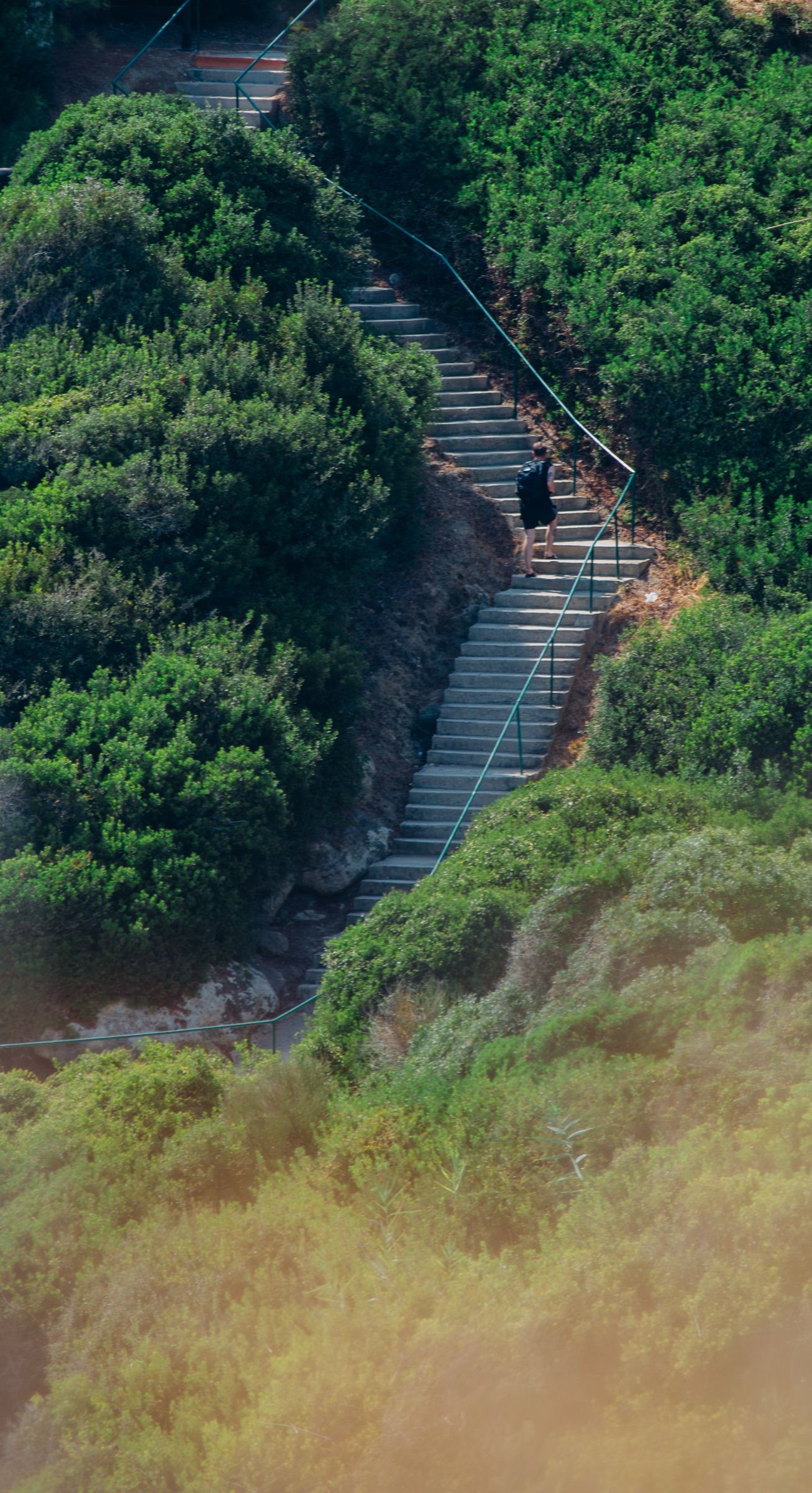Lone walker with a backpack climbing a long staircase zigzagging up a green scrub-covered hillside