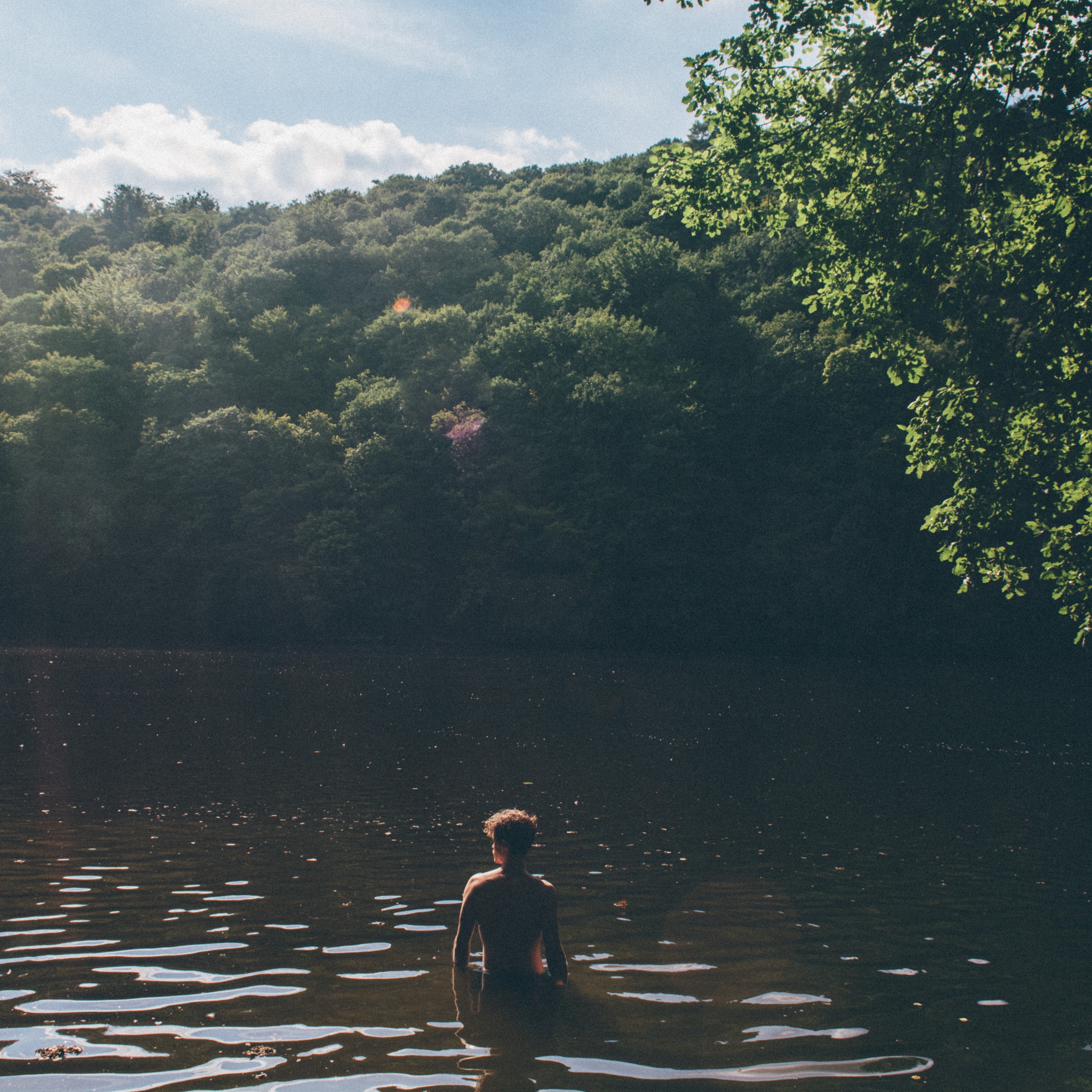 Swimmer waist-deep in a dark rippling lake, facing a sunlit wall of forest